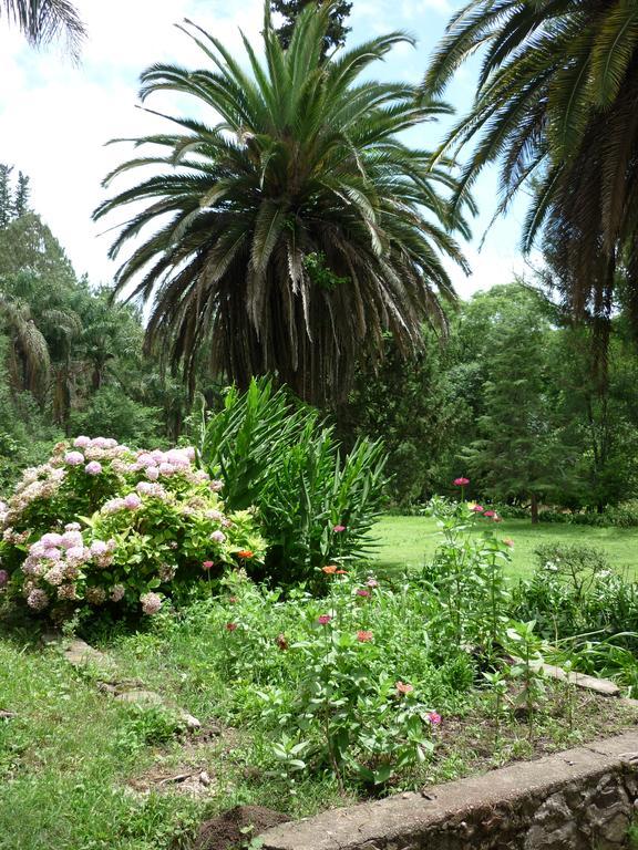 Finca La Colorada San Salvador de Jujuy Zewnętrze zdjęcie