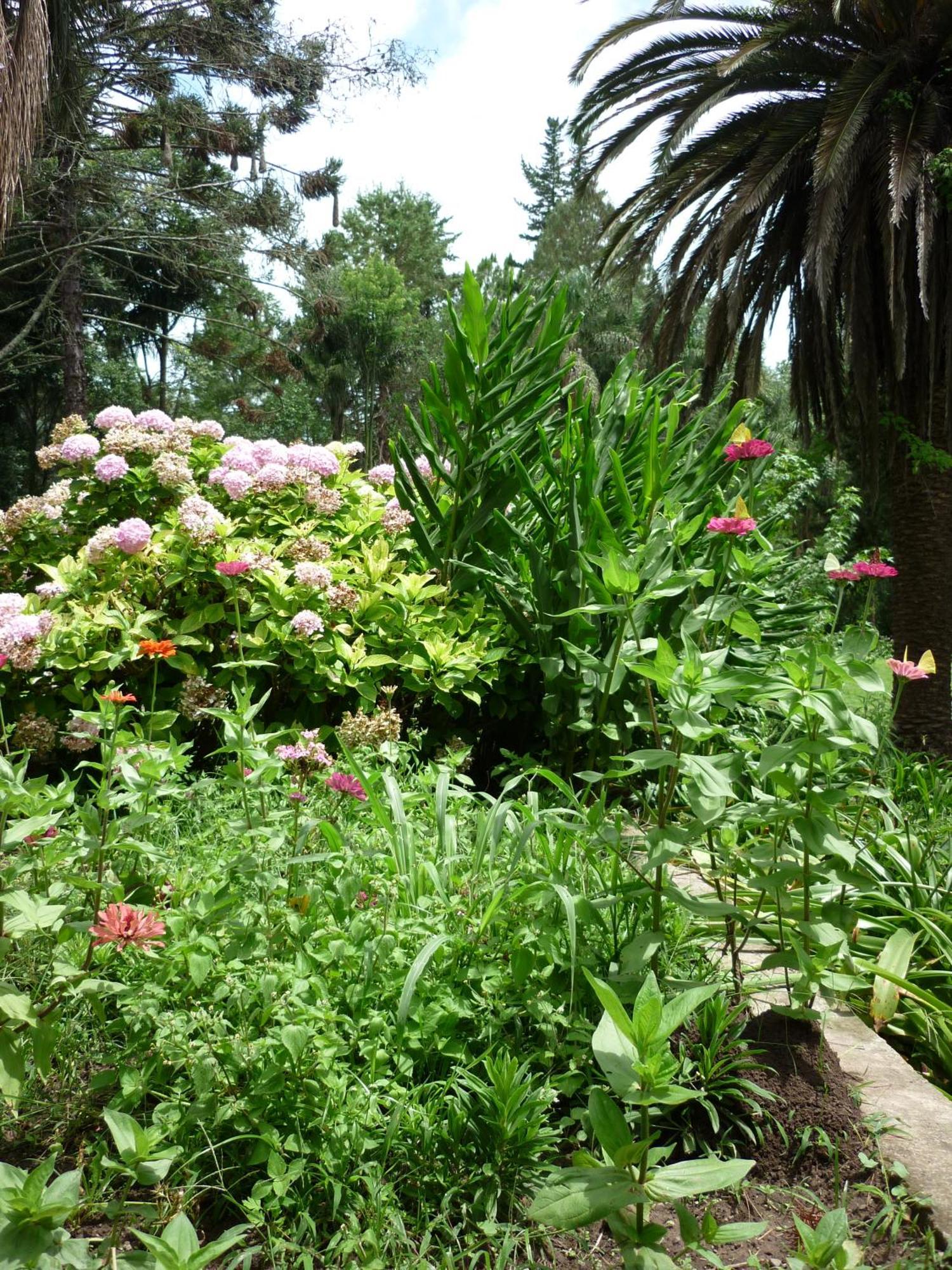 Finca La Colorada San Salvador de Jujuy Pokój zdjęcie