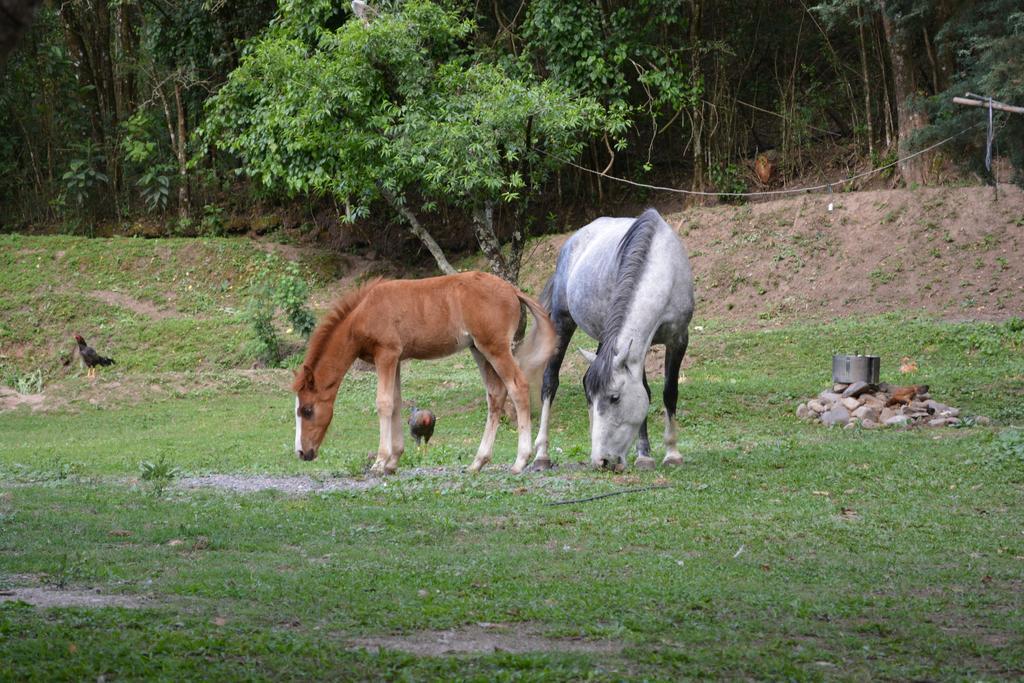Finca La Colorada San Salvador de Jujuy Zewnętrze zdjęcie