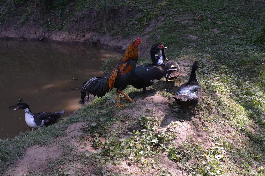 Finca La Colorada San Salvador de Jujuy Zewnętrze zdjęcie